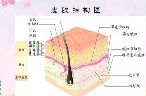 吳越學(xué)校2019新課程發(fā)布會(huì)重磅來襲！速來圍觀！